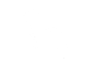 Himakom White