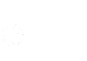 Radboud White